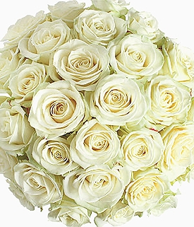 Buchet de mireasa clasic din trandafiri albi