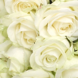 Buchet de mireasa clasic din trandafiri albi