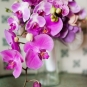Buchet de mireasa din orhidee in cascada