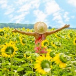 Floarea soarelui, soarele din viata femeilor!