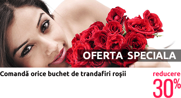 Oferta trandafiri rosii