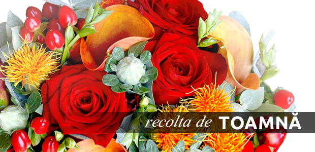 Flori de toamna: crizanteme, miniroze, crini asiatici, trandafiri multicolori, frunze ruginii