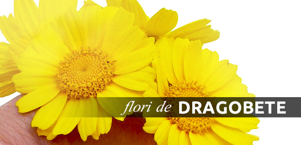 Flori de Dragobete