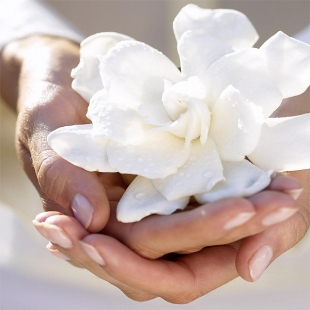 Buchete din flori albe si cadouri de Sfanta Irina