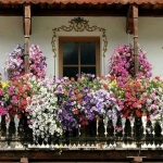 Un balcon plin de flori primavara aceasta!