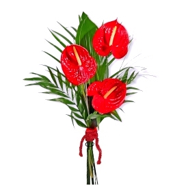 Buchet 3 anthurium