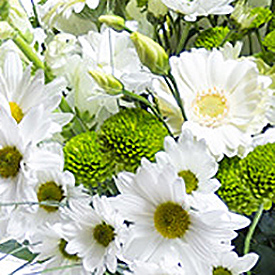 Buchet de crizanteme albe si santini