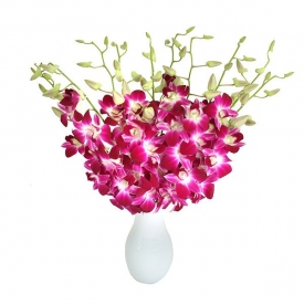 Buchet de orhidee exclusiv