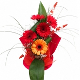 Buchet 5 gerbera 