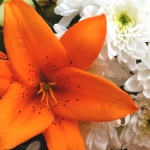 Buchet de crini portocalii si crizanteme